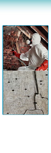 Stonedry Damp Proofing - Bridgend, Rhondda, Cardiff, Swansea, South Wales - wood rot